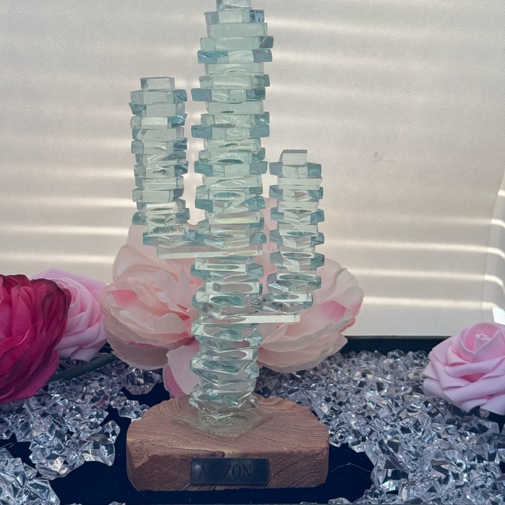 Crystal Cactus from Arizona 🌵🌵🏜️
